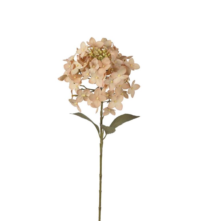 HORTENSIA 65 cm