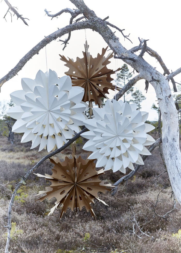 PAPERITÄHTI STAR B, koko S, valkoinen - Image 2