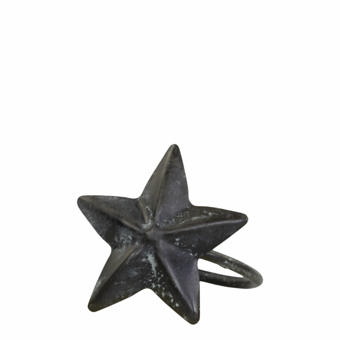 Star lautasliinarengas - Image 2