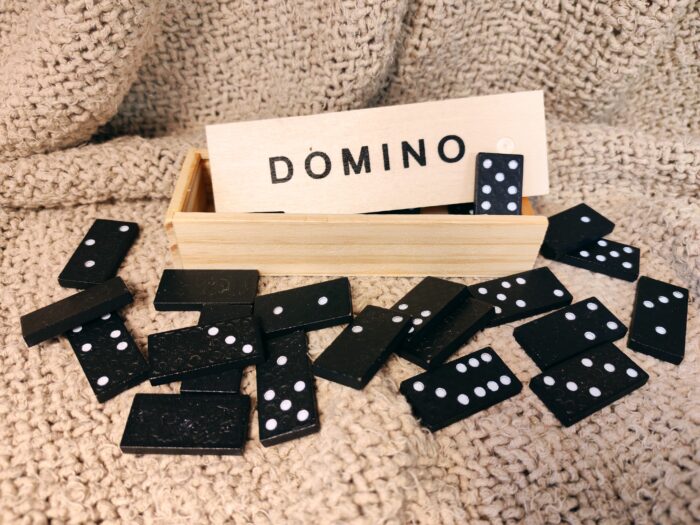 Domino matkakoko